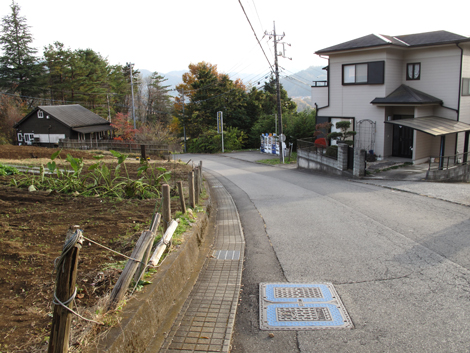 20161117hike (334)